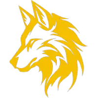 Wild Spirit Gym Wear logo